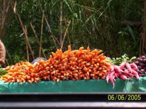 IndiaVegetablesWayside