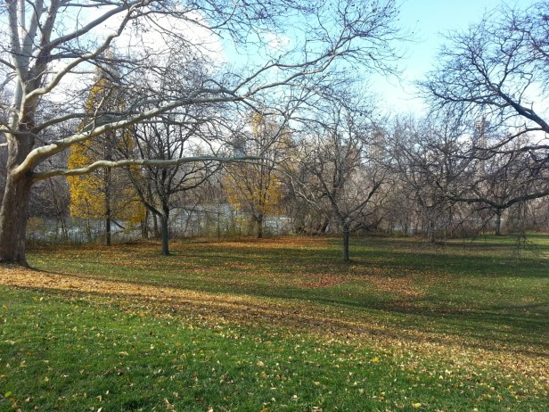 20151122_081218.jpg image